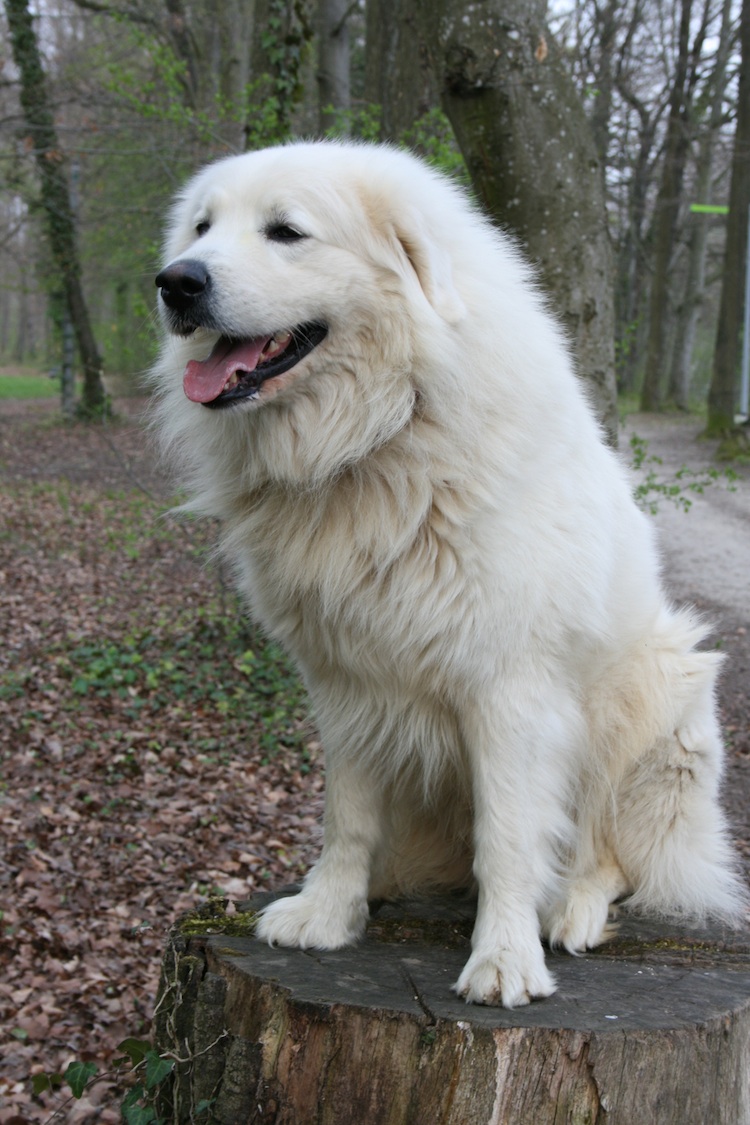 Link_019.jpg